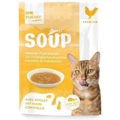 Soupe au poulet