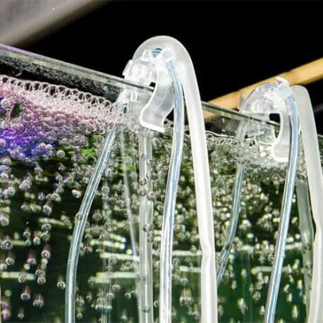 HOBBY-DOSHE AQUARISTIK Tube Holder fixation réglable pour tuyaux d'aquarium 8-22 mm