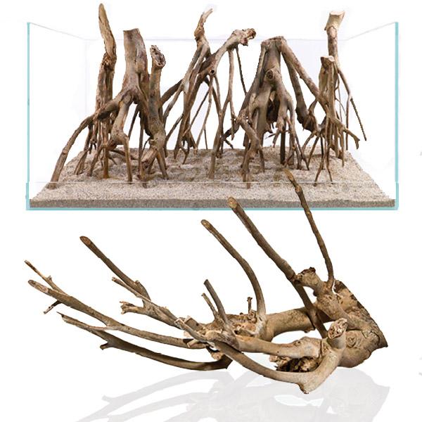 CROCI SPA Racine Mangrove 70 à 100cm 1 pièce