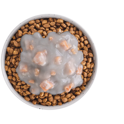 EQUILIBRE & INSTINCT Sauce crémeuse au dés de saumon Chat Adulte 90g