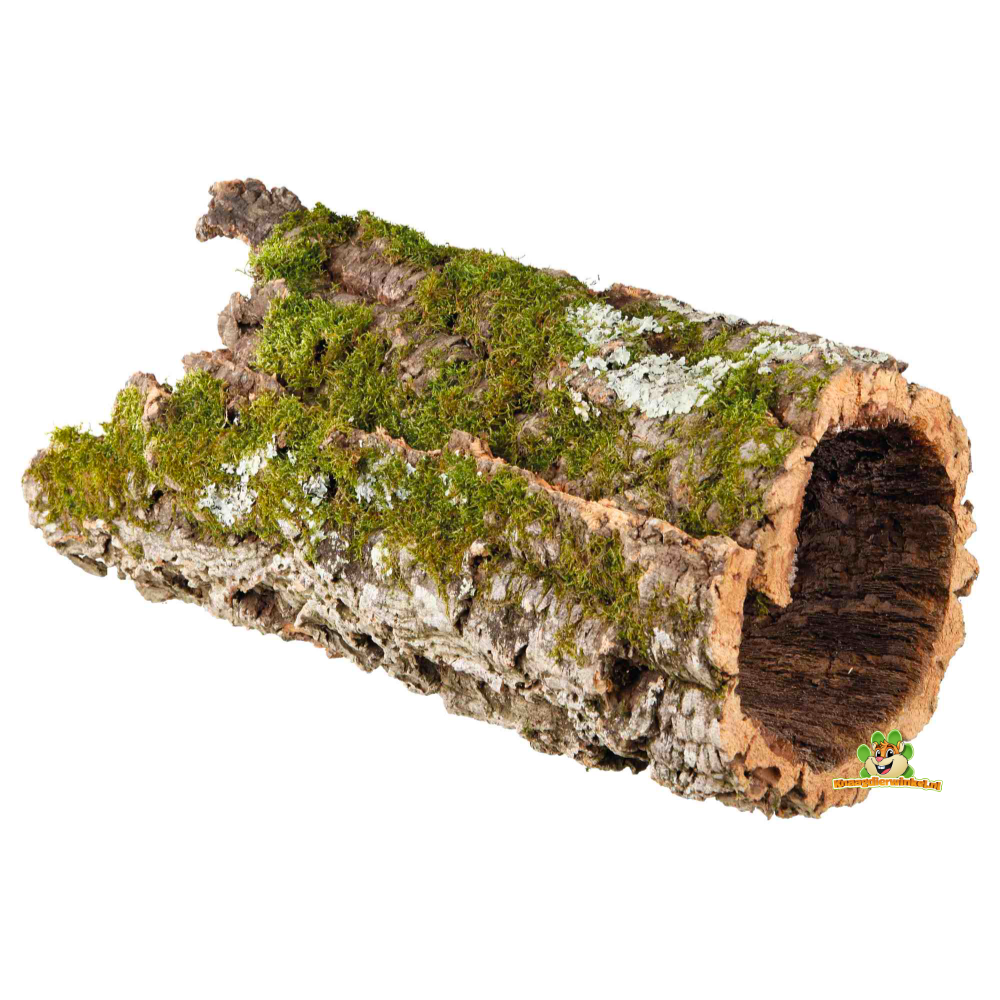 HOBBY-DOSHE AQUARISTIK Tunnel en Liège Diamètre 5 cm Longueur 40 cm