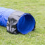 TRIXIE Mini Tunnel Fun Agility Ø 40 cm x 2 m Bleu