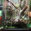 ZOOMED Paludarium 91x46x91 cm 80L