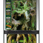 ZOOMED Paludarium 91x46x91 cm 80L